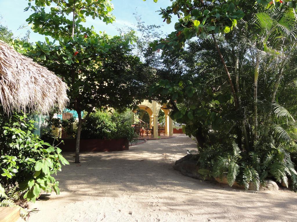 Troncones Point Hostel Екстериор снимка
