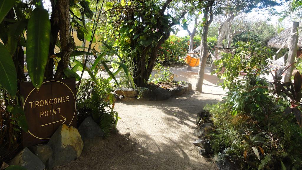 Troncones Point Hostel Екстериор снимка