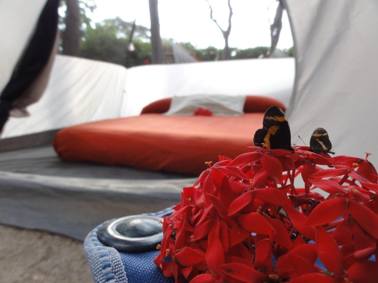 Troncones Point Hostel Екстериор снимка